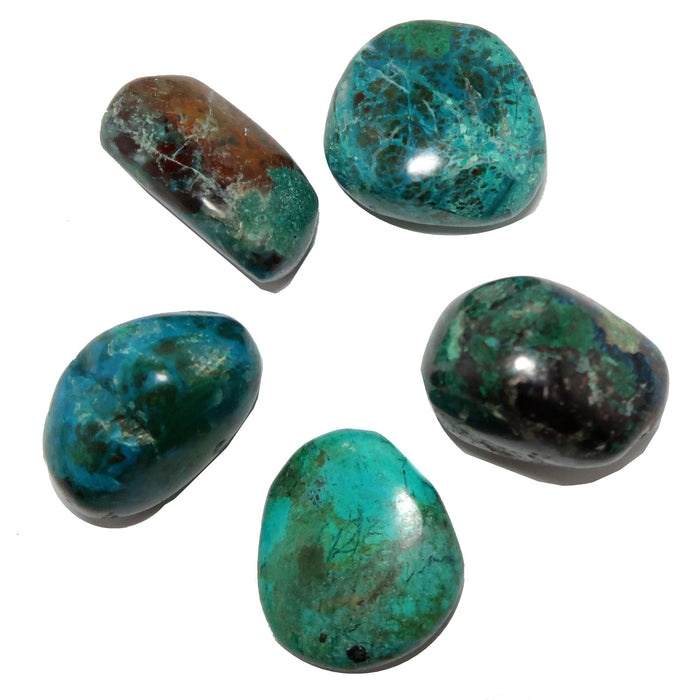 Chrysocolla Tumbled Stone Jungle Candy Blue Green Gems