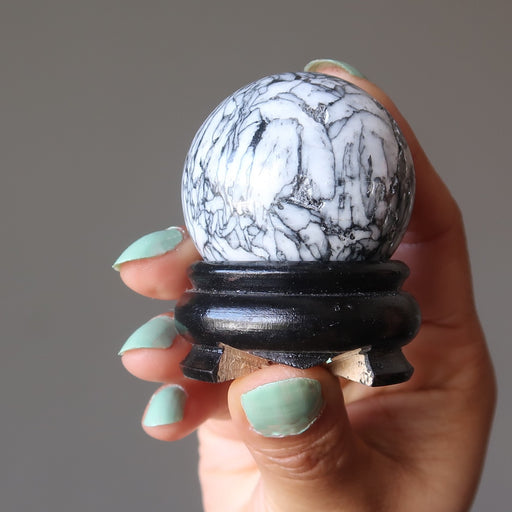 hand holding a chrysanthemum sphere on a black wood display stand