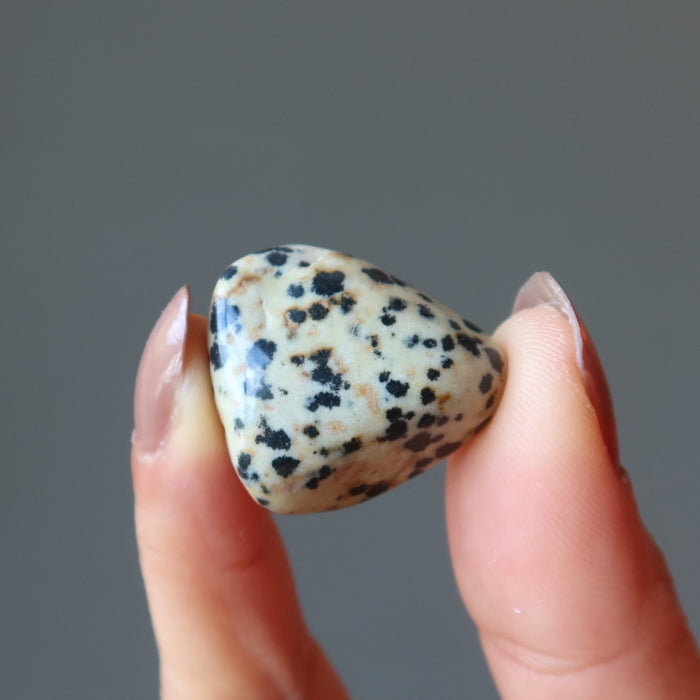 hand holding dalmatian jasper tumbled stone