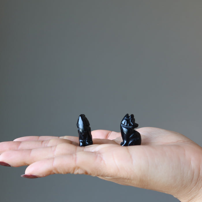 holding two 1" Black Obsidian Wolves on the palm