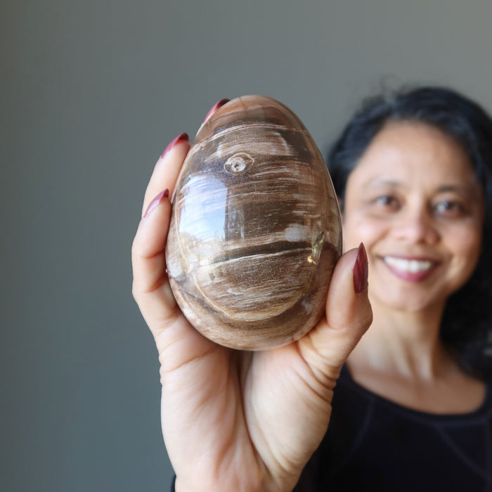 Petrified Wood Egg Timeless Strength Healing Crystal