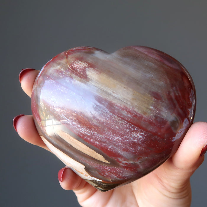 Petrified Wood Heart Heal Get Real Love Red Crystal Stone