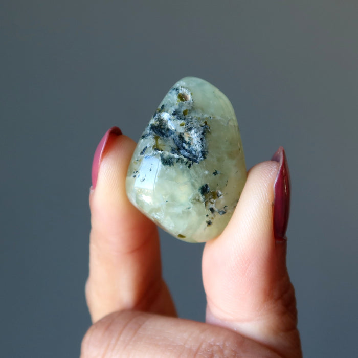 Prehnite Tumbled Stones Set Dream Self-Care Green Crystal