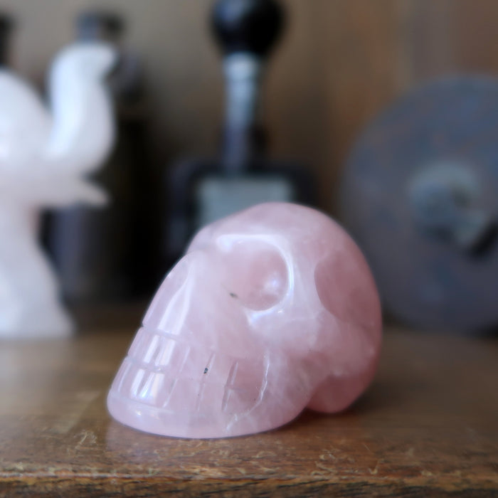 Rose Quartz Skull Love Serenity Crystal Carving Gemstone