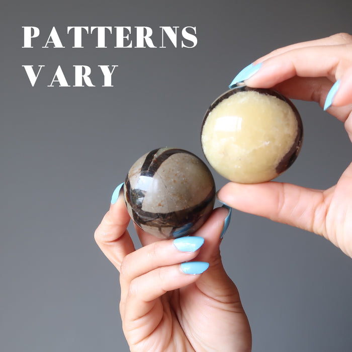 hands holding two septarian spheres to show patterns vary