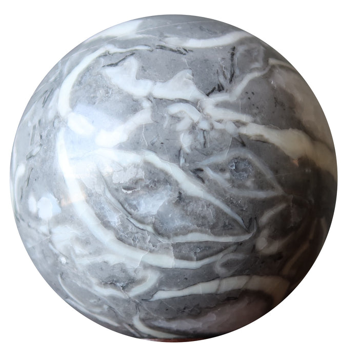 Brachiopod Fossil Sphere Time Shell Gray Limestone Crystal Ball