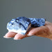 2 Raw Sodalite Crystal on palm