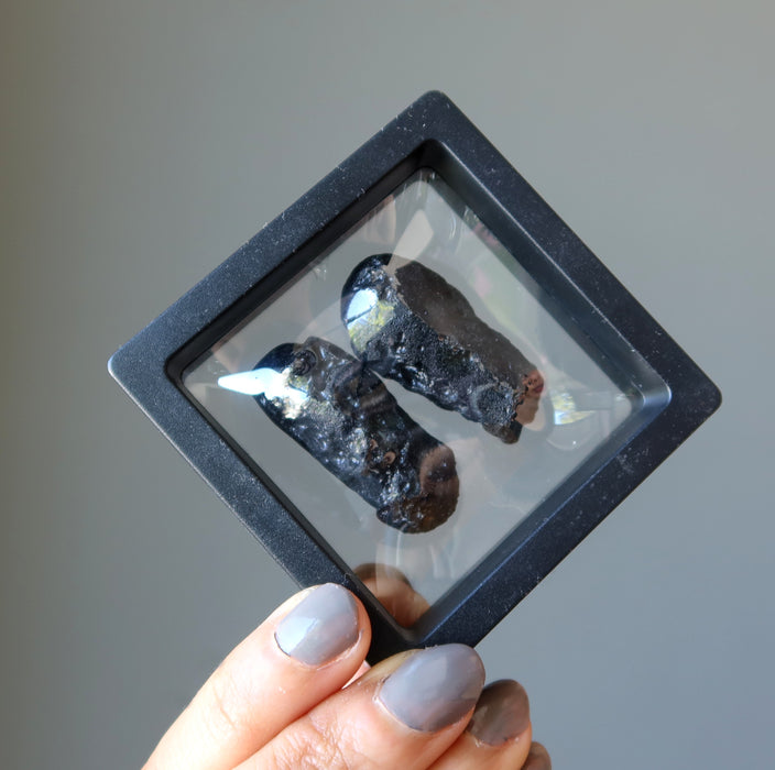 rough black tektites in display case