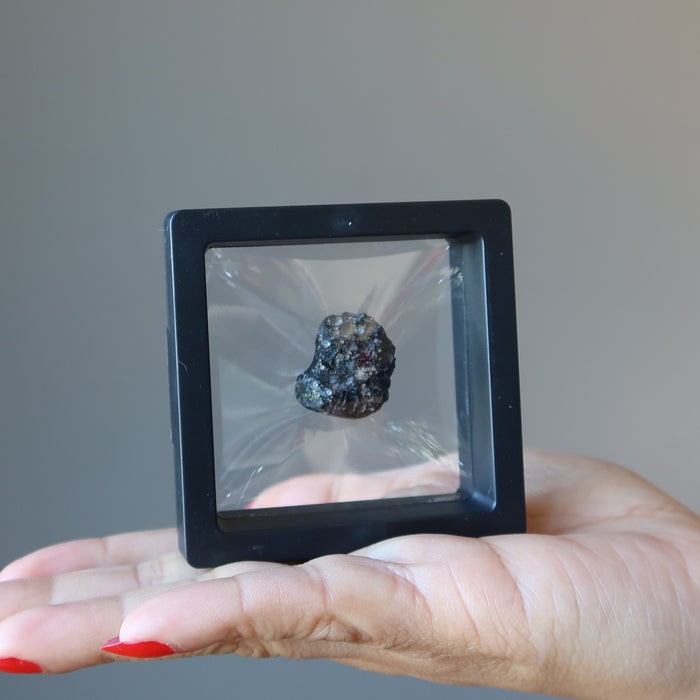 in a floating case a Black Tektite 