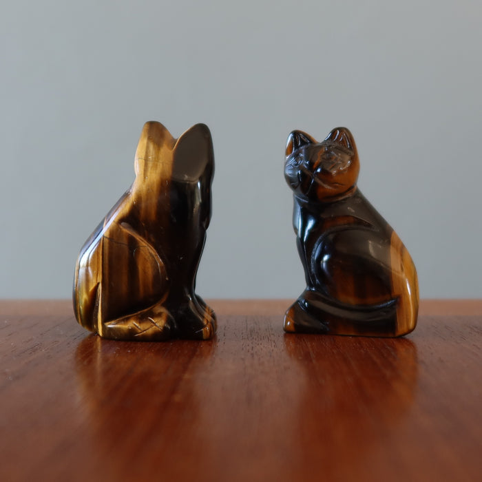 two golden tigers eye cat