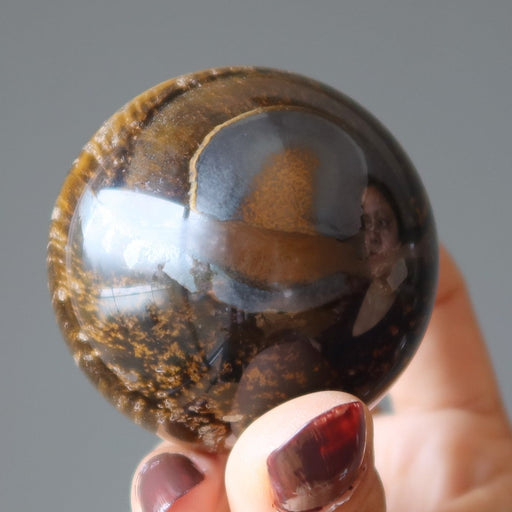 holding Tiger iron sphere with veins of black hematite