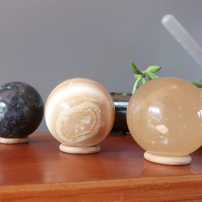 moss agate, aragonite, honey calcite spheres on wood display stands in front of succulents