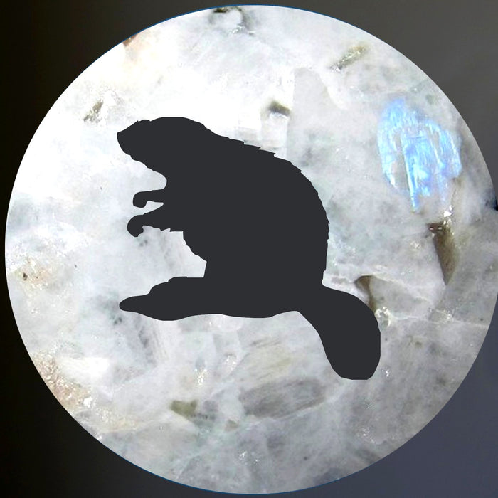 rainbow obsidian sphere with beaver silhouette representing the moon