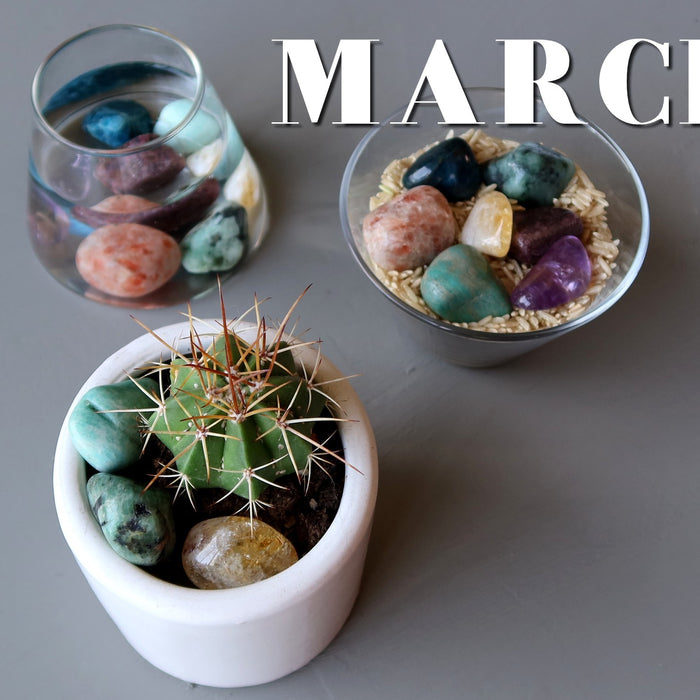 chakra tumbled stones for MARCH
