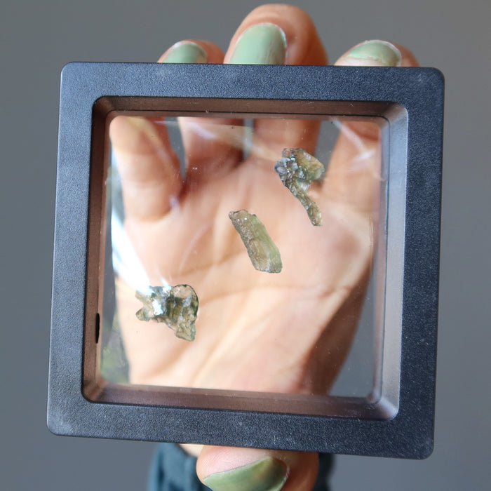 hand holding three green raw moldavite in a suspension display case