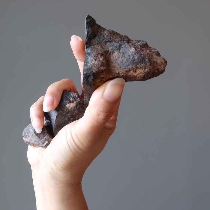hand holding three raw agoudal meteorites