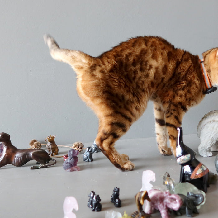 bengal cat and crystal animal figurines