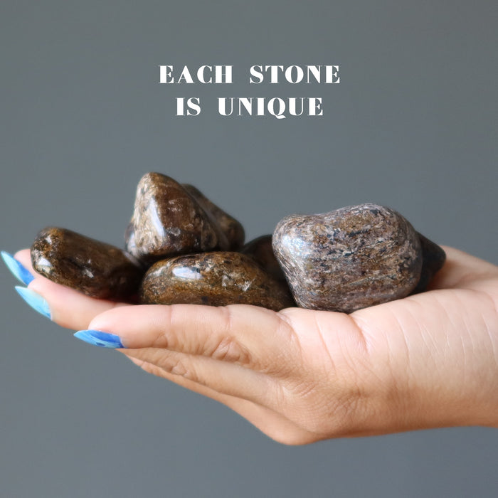 bronzite tumbled stones