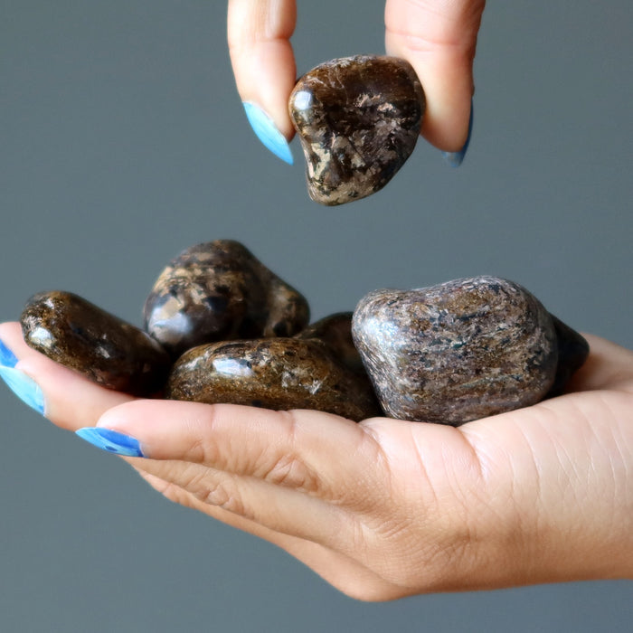 Bronzite Tumbled Stone Big Brilliant Brown Healing Crystals
