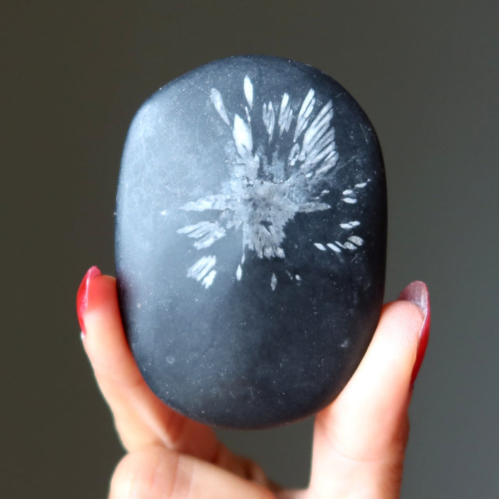 chrysanthemum stone palm crystal