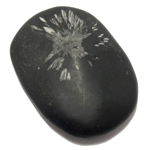 chrysanthemum stone palm crystal