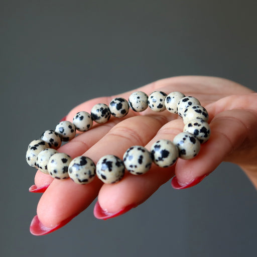 dalmatian jasper bracelet in hand