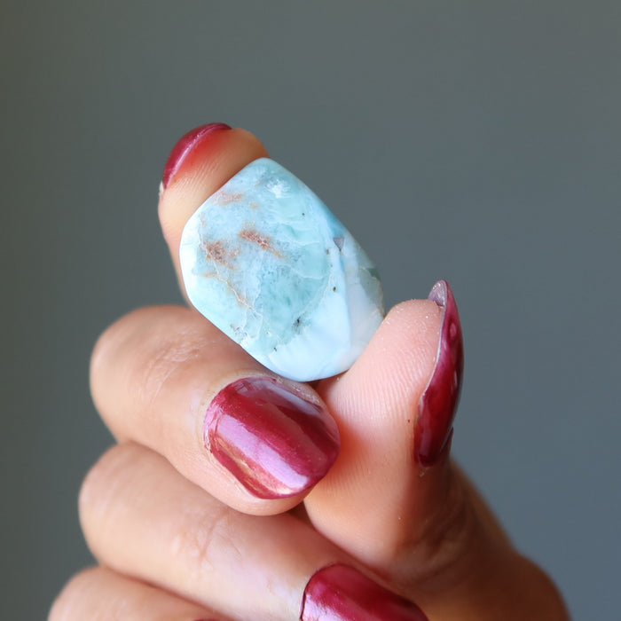 Larimar Tumbled Stones Dolphin Crystal Paradise Healing Gems