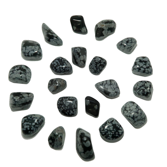 Snowflake Obsidian Tumbled Stone Set Pretty Protection
