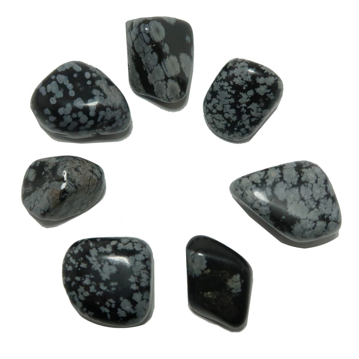 Snowflake Obsidian Tumbled Stone Set Pretty Protection