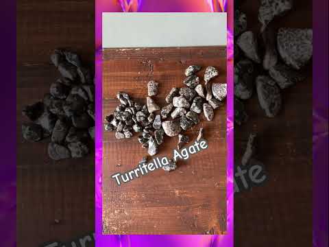 turritella agate tumbled stone video