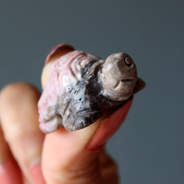 Showing the side profile of  Rhodonite Turtle 