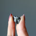 finger tips holding Turitella Agate Tumbled Stone