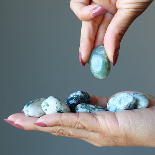 Tree Agate Tumbled Stones on the palm