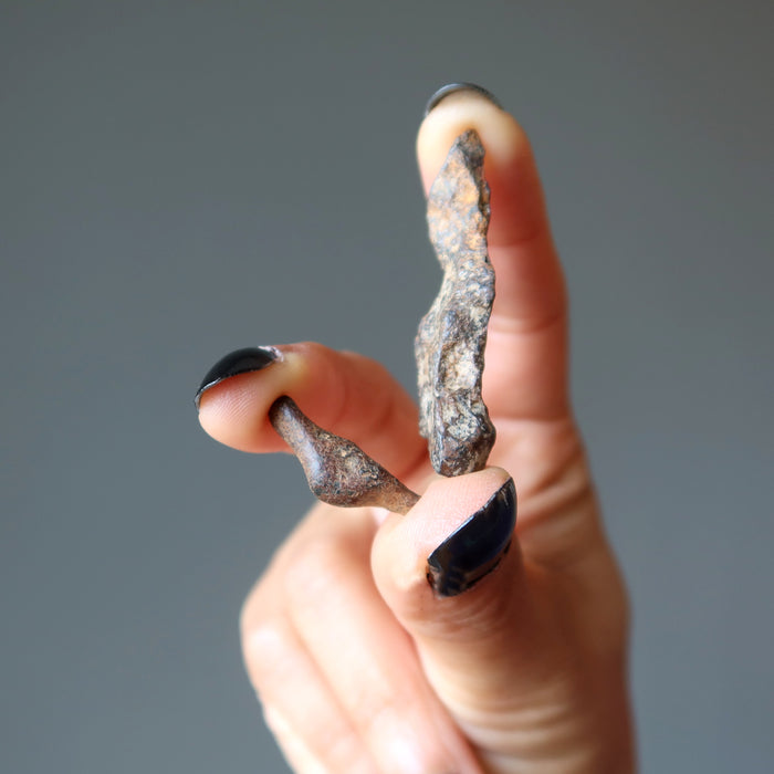 hand holding two female holding agoudal iron meteorite fingers