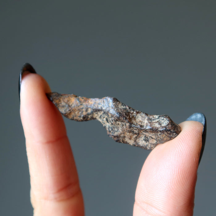 fingers holding female holding agoudal iron meteorite 