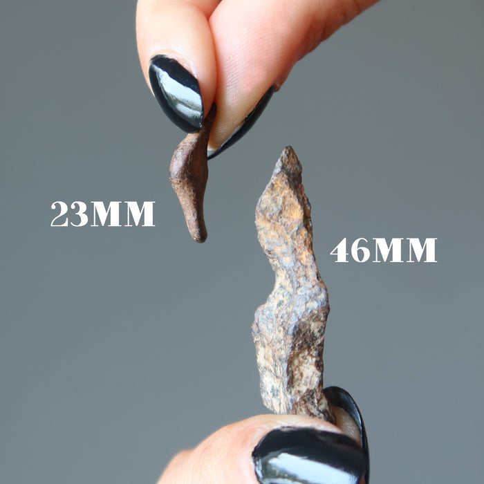 hands holding 23mm and 46mm agoudal iron meteorite fingers
