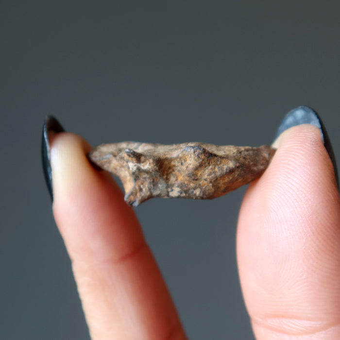 fingers holding up agoudal iron meteorite finger