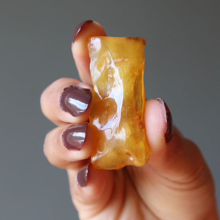 Amber Palm Stone Yellow Tree Mineral Genuine Healing Gem