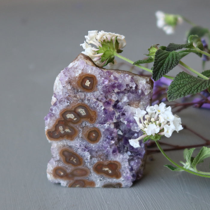 flowers and amethyst cluster with many brown banded eyes