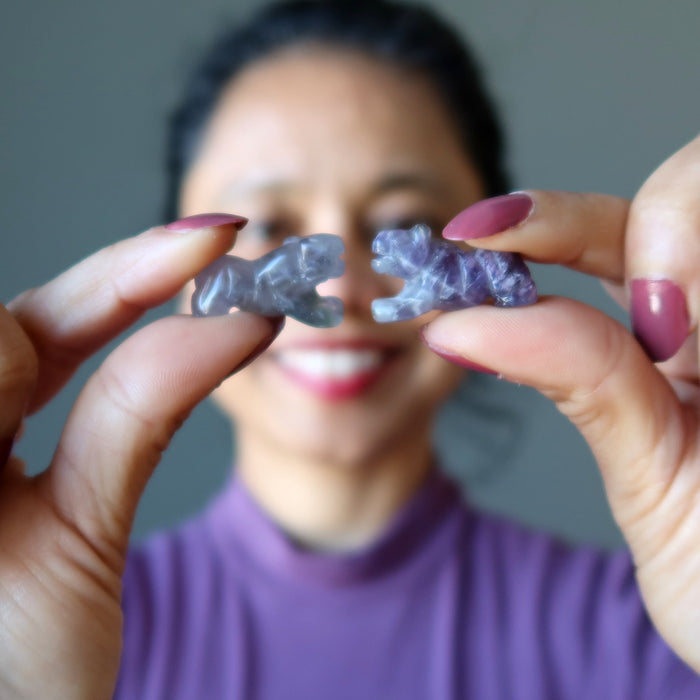 sheila of satin crystals holding a pair of 1" Amethyst Tiger 