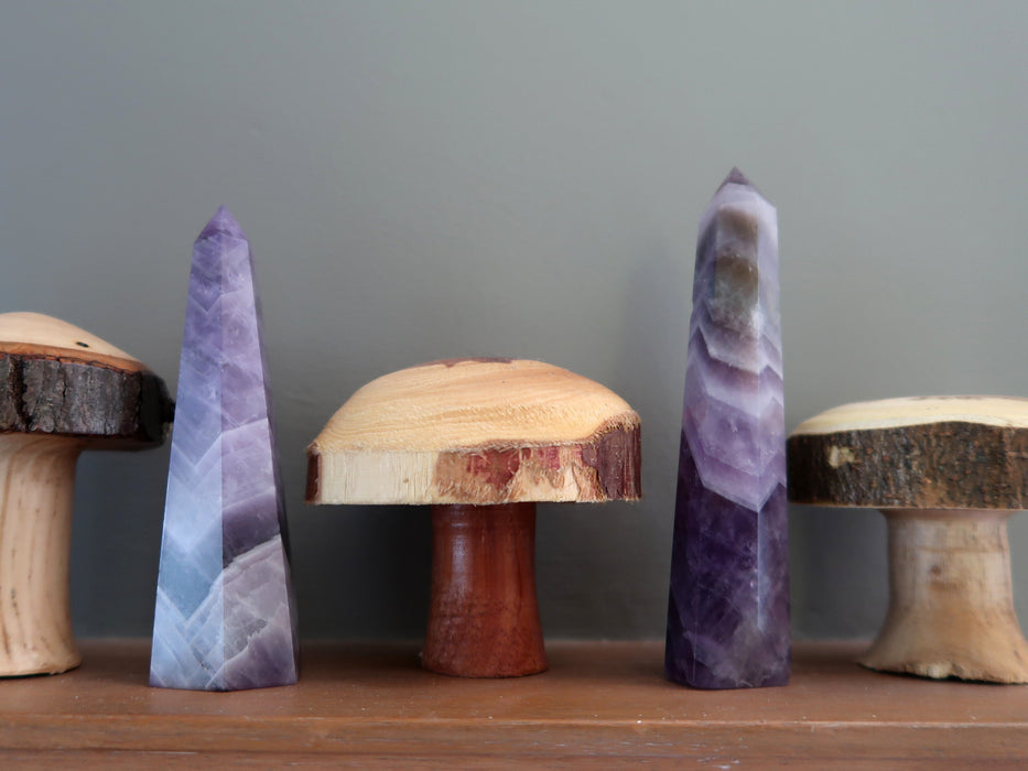 displaying two 3.5-4 x 0.6 to 1 inches purple Amethyst Chevron crystal point tower Wand standing in between wooden mushrooms