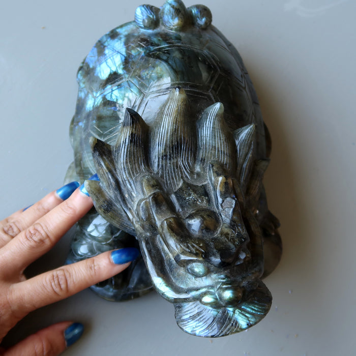 hand touching a big labradorite dragon turtle carving
