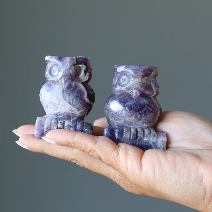 two 2.25-2.5 Inch purple Amethyst owls on model palm