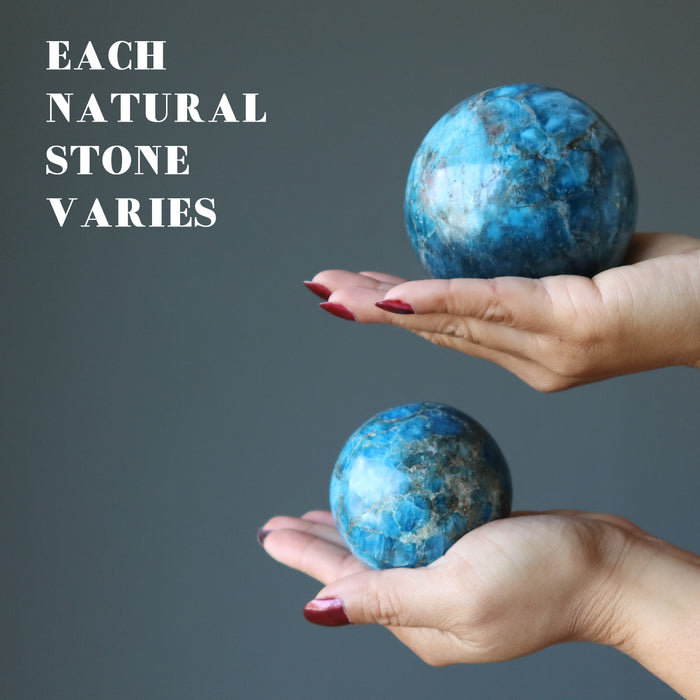 two hands holding apatite spheres in each palm showing each natural stone varies