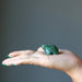 Green Aventurine Turtle displaying on the palm