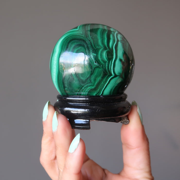 hand holding a green malachite sphere on a black wood display stand