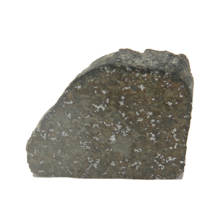 Bassikounou Meteorite New Dimensions Space Stone Chondrite