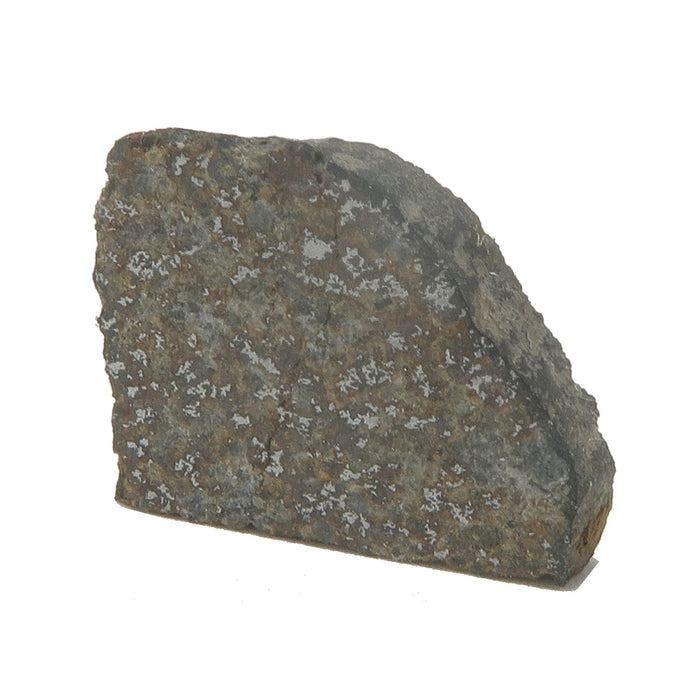 Bassikounou Meteorite New Dimensions Space Stone Chondrite