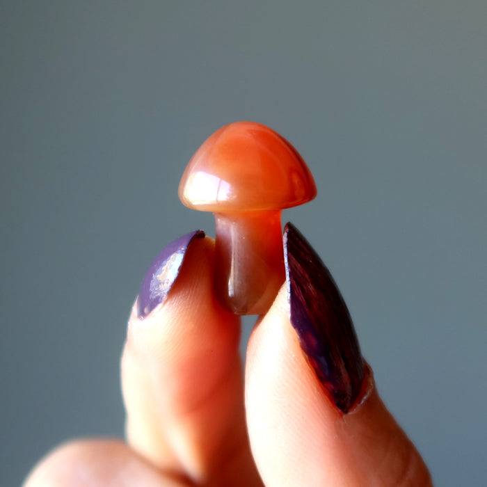 Carnelian Mushroom Forage Happy Red Orange Crystal
