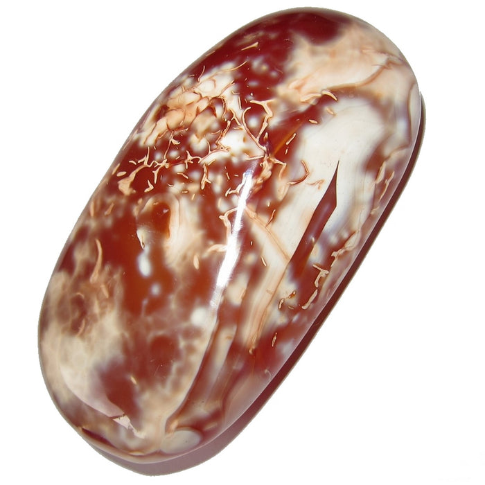 Carnelian Polished Stone Electric Attraction Big Red Palm Crystal
